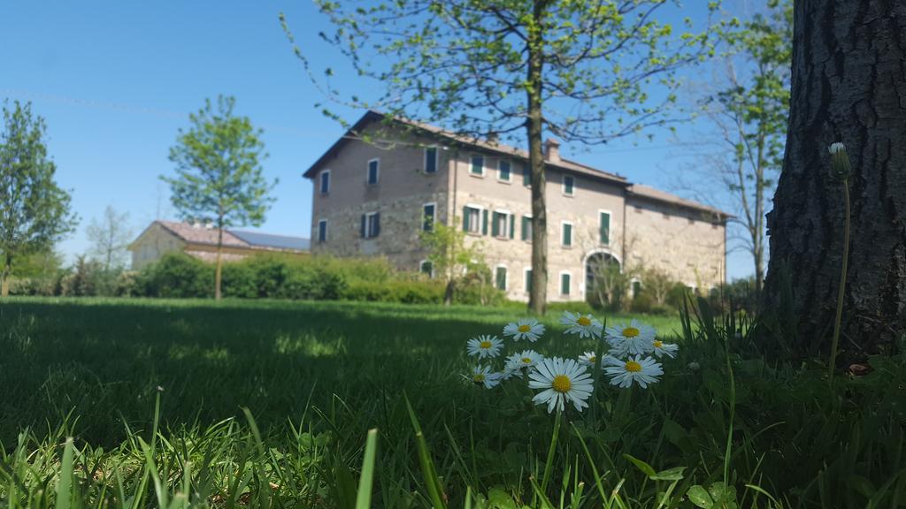 Agriturismo Il Brugnolo Villa Скандиано Екстериор снимка