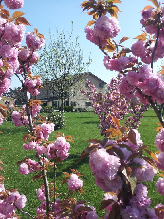 Agriturismo Il Brugnolo Скандиано Екстериор снимка